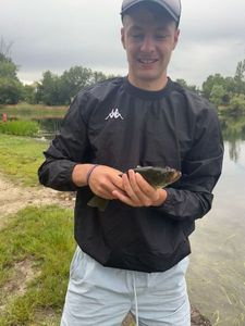 Largemouth Bass