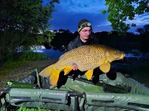Common Carp
