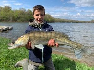 Zander