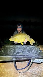 Mirror Carp