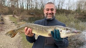 Northern Pike