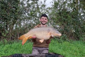 Common Carp