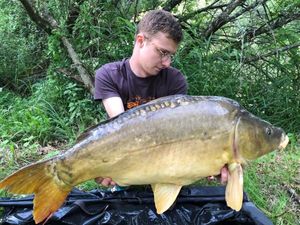 Mirror Carp