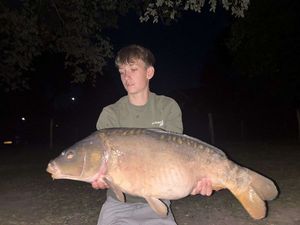Mirror Carp