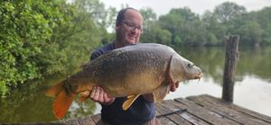 Mirror Carp
