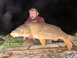 Common Carp