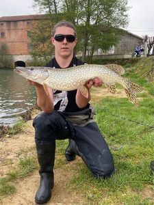 Northern Pike