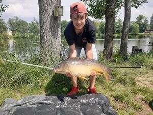 Mirror Carp