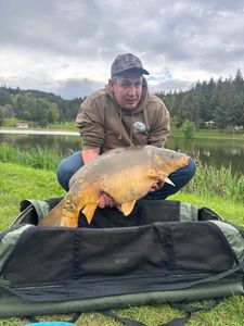Mirror Carp