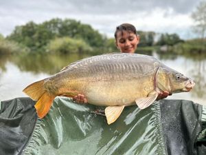 Mirror Carp