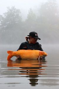 Koï Fish