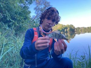 European Perch