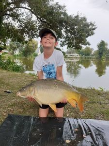 Mirror Carp