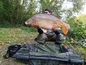 Mirror Carp