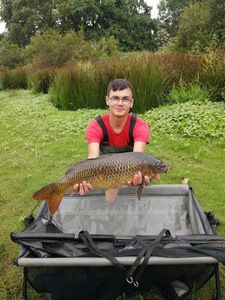 Common Carp