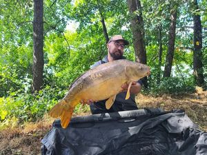 Mirror Carp