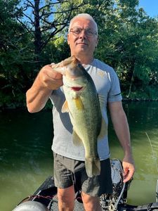 Smallmouth Bass