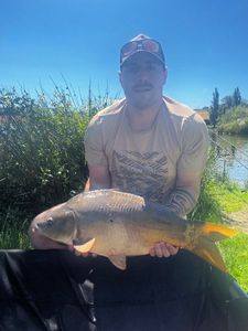 Mirror Carp