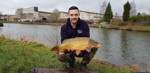 Common Carp