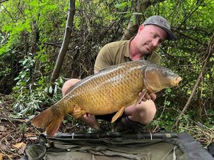 Common Carp