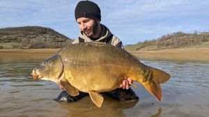 Mirror Carp