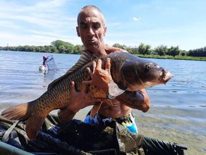 Common Carp