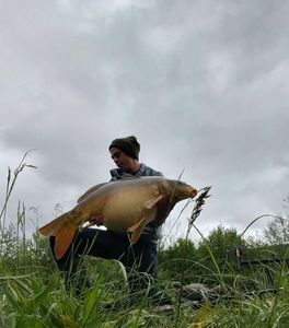 Mirror Carp