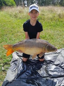 Mirror Carp