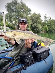 Zander