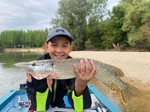 Northern Pike