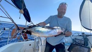 Albacore