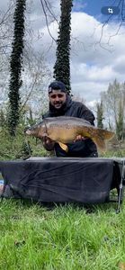 Leather Carp