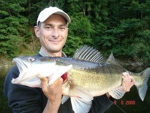 Zander