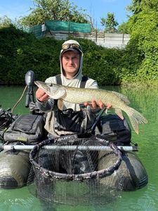 Northern Pike