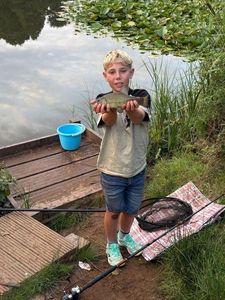 Tench