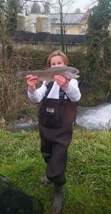 Rainbow Trout