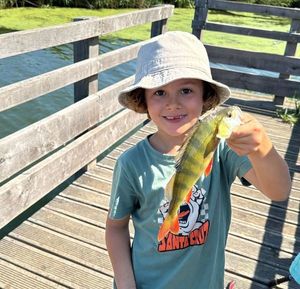 European Perch