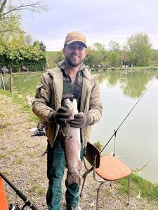 Rainbow Trout