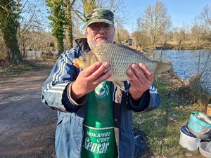 Common Carp
