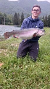 Rainbow Trout