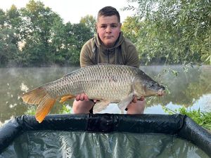 Common Carp