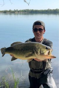Largemouth Bass