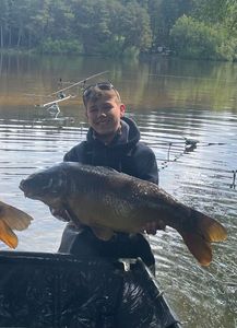 Mirror Carp