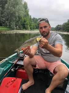 Chub