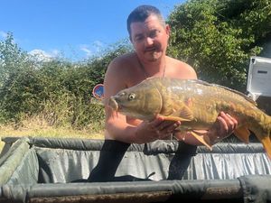 Mirror Carp