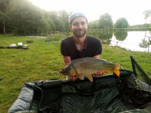 Common Carp