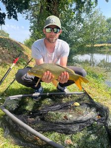 Common Carp