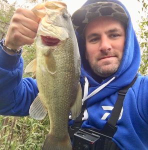 Largemouth Bass