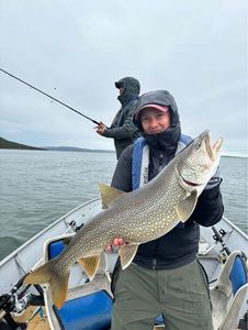 Lake Trout