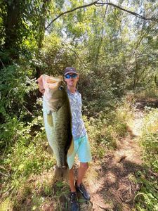 Largemouth Bass